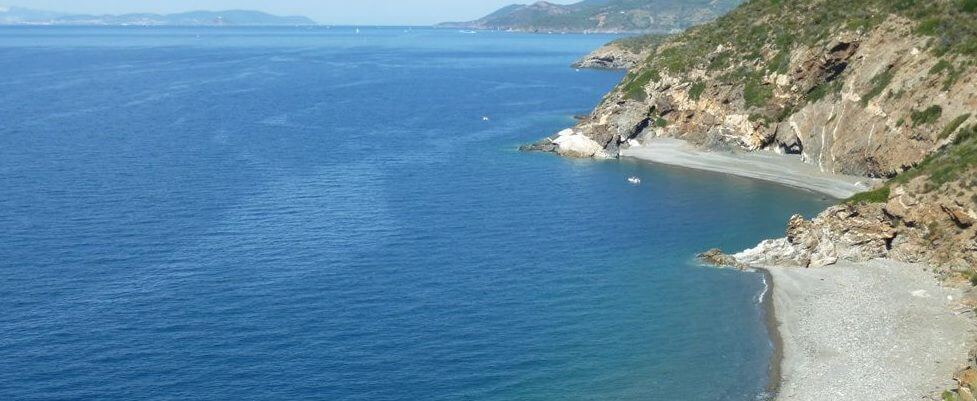 Yung nere punta bianca top